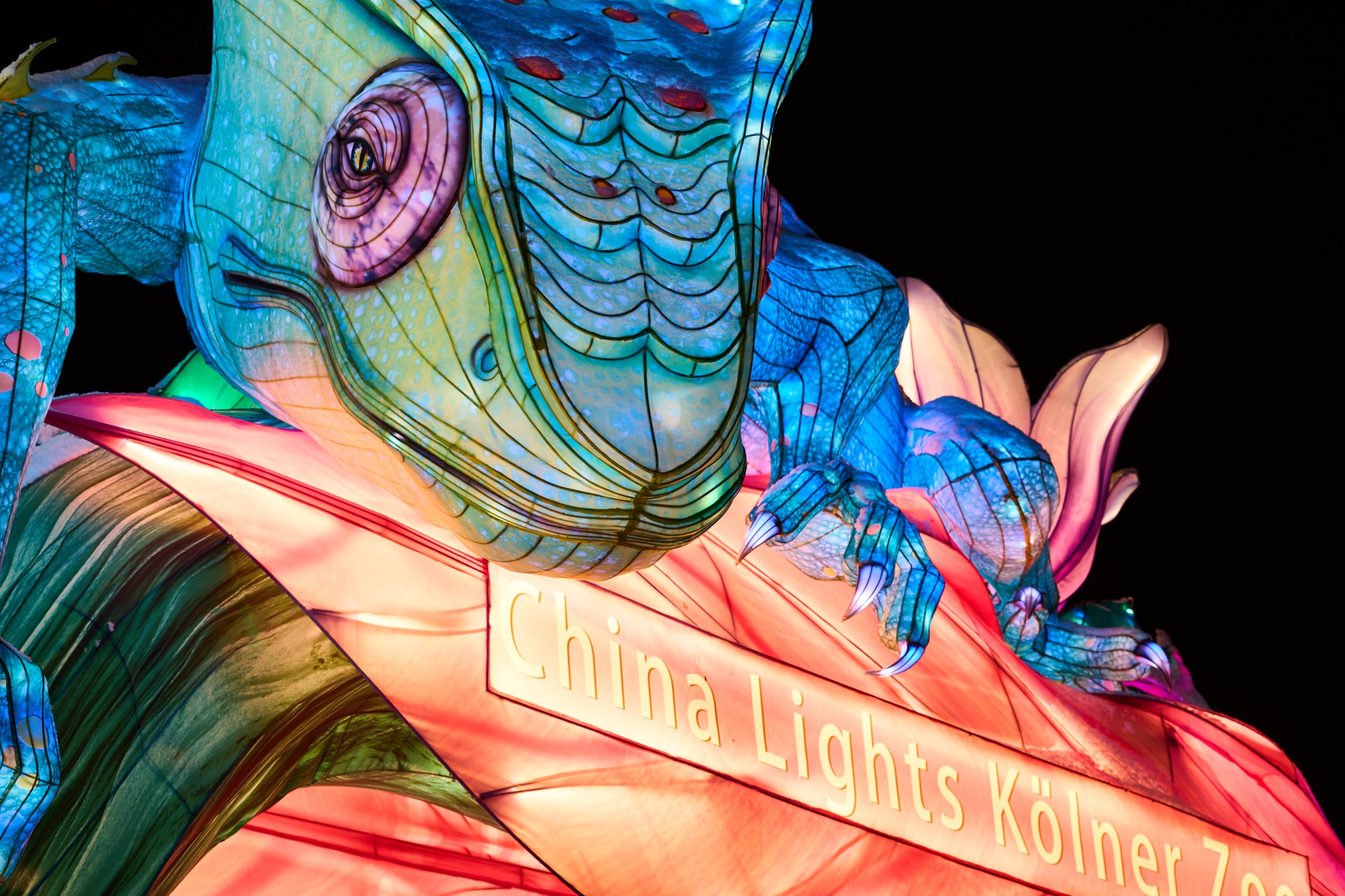 2026 01 05 China Lights 0030